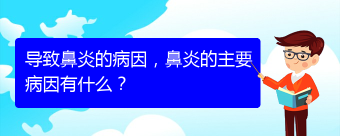 (貴陽過敏性鼻炎怎么治療好)導(dǎo)致鼻炎的病因，鼻炎的主要病因有什么？(圖1)