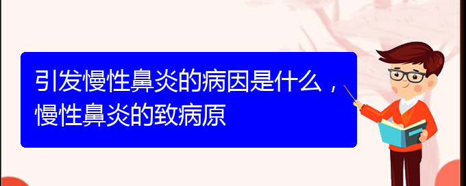 (貴陽中醫(yī)可以看慢性鼻炎嗎)引發(fā)慢性鼻炎的病因是什么，慢性鼻炎的致病原(圖1)