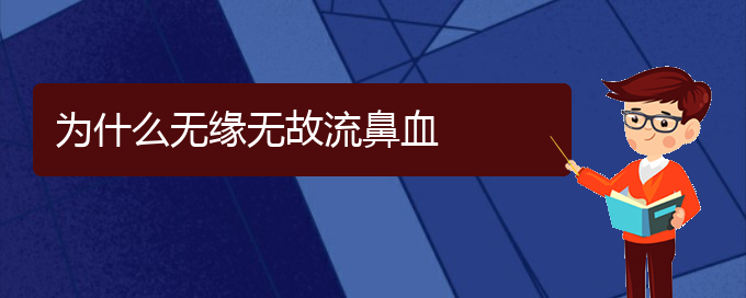 (貴陽鼻科醫(yī)院掛號(hào))為什么無緣無故流鼻血(圖1)