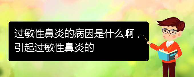 (貴州什么醫(yī)院治療過(guò)敏性鼻炎)過(guò)敏性鼻炎的病因是什么啊，引起過(guò)敏性鼻炎的(圖1)