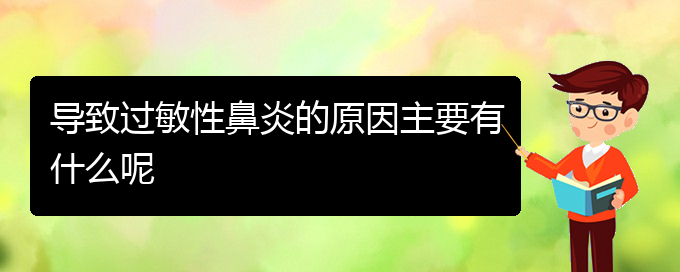 (貴陽(yáng)治療過敏性鼻炎的權(quán)威醫(yī)院)導(dǎo)致過敏性鼻炎的原因主要有什么呢(圖1)