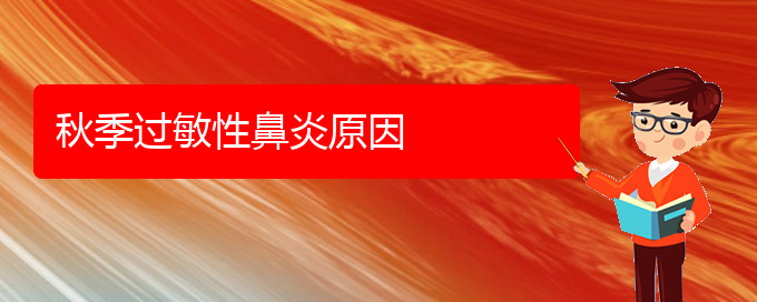 (貴陽(yáng)治療過(guò)敏性鼻炎那個(gè)醫(yī)院更好)秋季過(guò)敏性鼻炎原因(圖1)