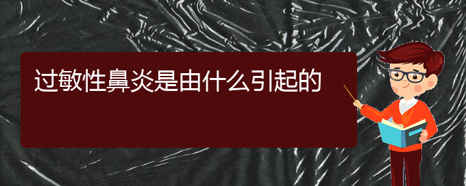 (貴陽治過敏性鼻炎到哪個(gè)醫(yī)院)過敏性鼻炎是由什么引起的(圖1)