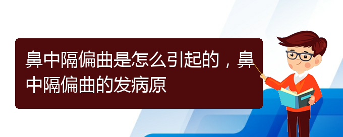 (貴陽(yáng)一般看鼻中隔偏曲多少錢)鼻中隔偏曲是怎么引起的，鼻中隔偏曲的發(fā)病原(圖1)