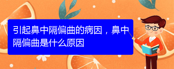 (貴陽比較好的治療鼻中隔偏曲的醫(yī)院)引起鼻中隔偏曲的病因，鼻中隔偏曲是什么原因(圖1)