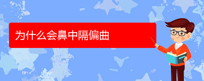 (貴陽哪里治療鼻中隔偏曲)為什么會(huì)鼻中隔偏曲(圖1)