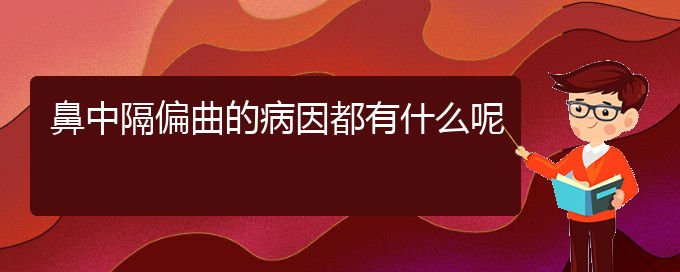 (貴陽鼻科醫(yī)院掛號(hào))鼻中隔偏曲的病因都有什么呢(圖1)