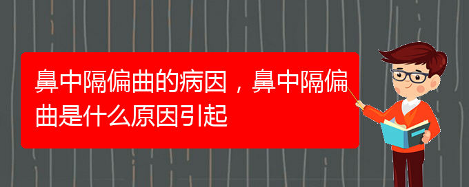 (貴陽(yáng)治療鼻中隔偏曲醫(yī)院)鼻中隔偏曲的病因，鼻中隔偏曲是什么原因引起(圖1)