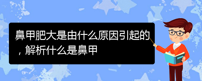 (貴陽(yáng)鼻甲肥大如何治療)鼻甲肥大是由什么原因引起的，解析什么是鼻甲(圖1)