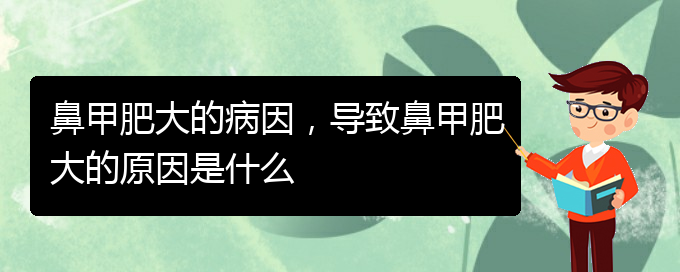 (貴陽治療鼻甲肥大正規(guī)的醫(yī)院)鼻甲肥大的病因，導(dǎo)致鼻甲肥大的原因是什么(圖1)