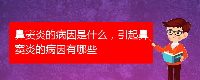 (治鼻竇炎貴陽哪家醫(yī)院好)鼻竇炎的病因是什么，引起鼻竇炎的病因有哪些(圖1)