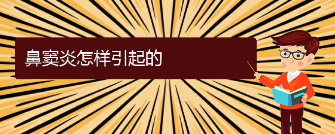 (貴陽鼻竇炎應該怎么治療)鼻竇炎怎樣引起的(圖1)