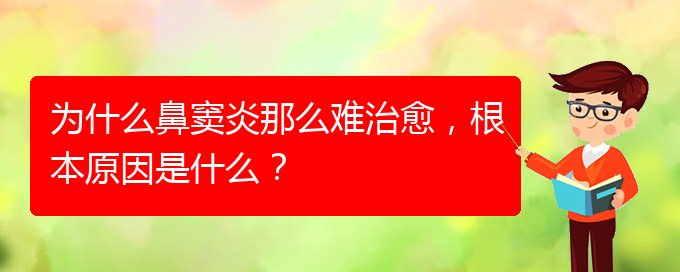 (貴陽治療鼻竇炎要多少費用)為什么鼻竇炎那么難治愈，根本原因是什么？(圖1)