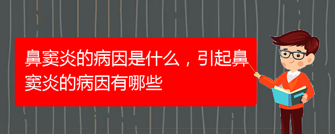 (治鼻竇炎貴陽哪家醫(yī)院好)鼻竇炎的病因是什么，引起鼻竇炎的病因有哪些(圖1)