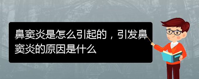 (鼻竇炎治療醫(yī)院貴陽)鼻竇炎是怎么引起的，引發(fā)鼻竇炎的原因是什么(圖1)