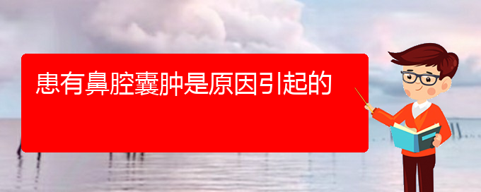 (貴陽(yáng)看鼻腔乳頭狀瘤大約多少錢(qián))患有鼻腔囊腫是原因引起的(圖1)