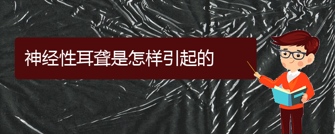 (貴陽(yáng)耳科醫(yī)院掛號(hào))神經(jīng)性耳聾是怎樣引起的(圖1)