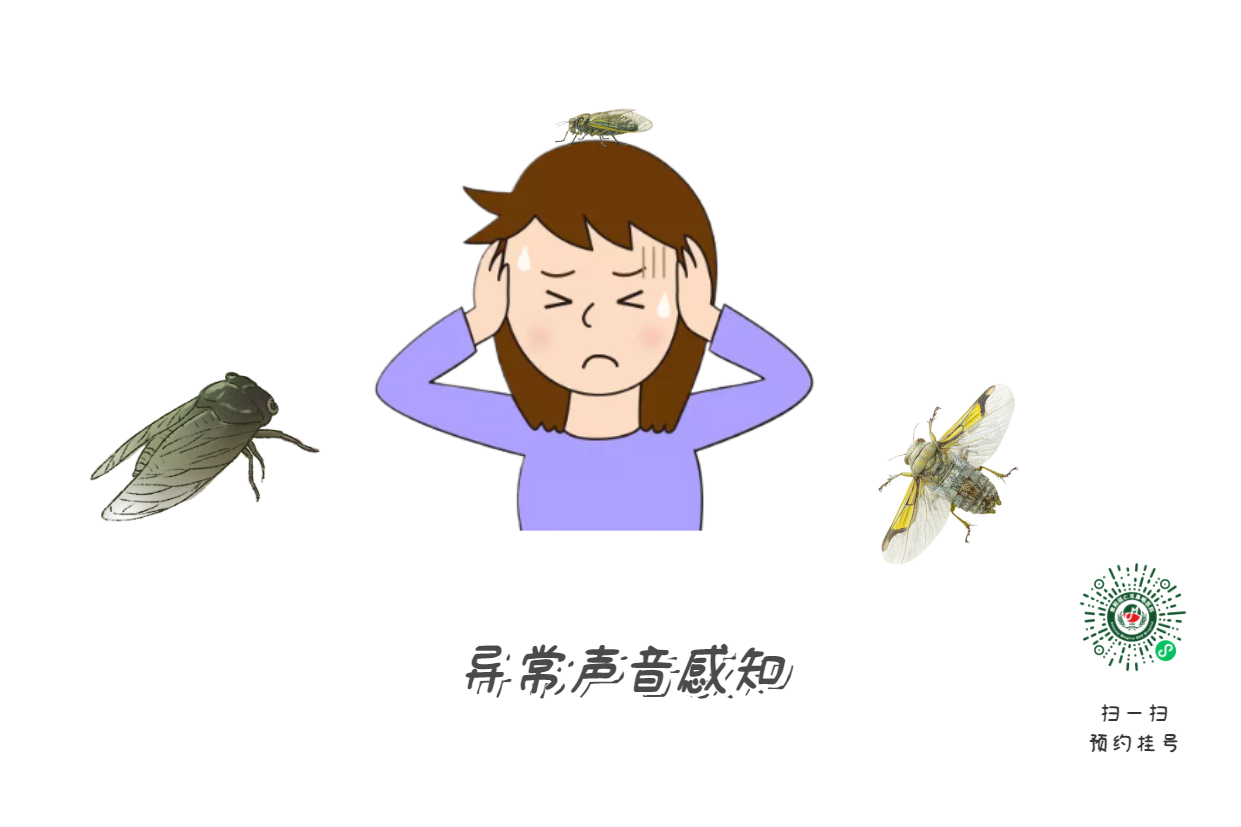 神經(jīng)性耳聾有哪些病癥？如何治療及預(yù)防耳聾？(圖1)